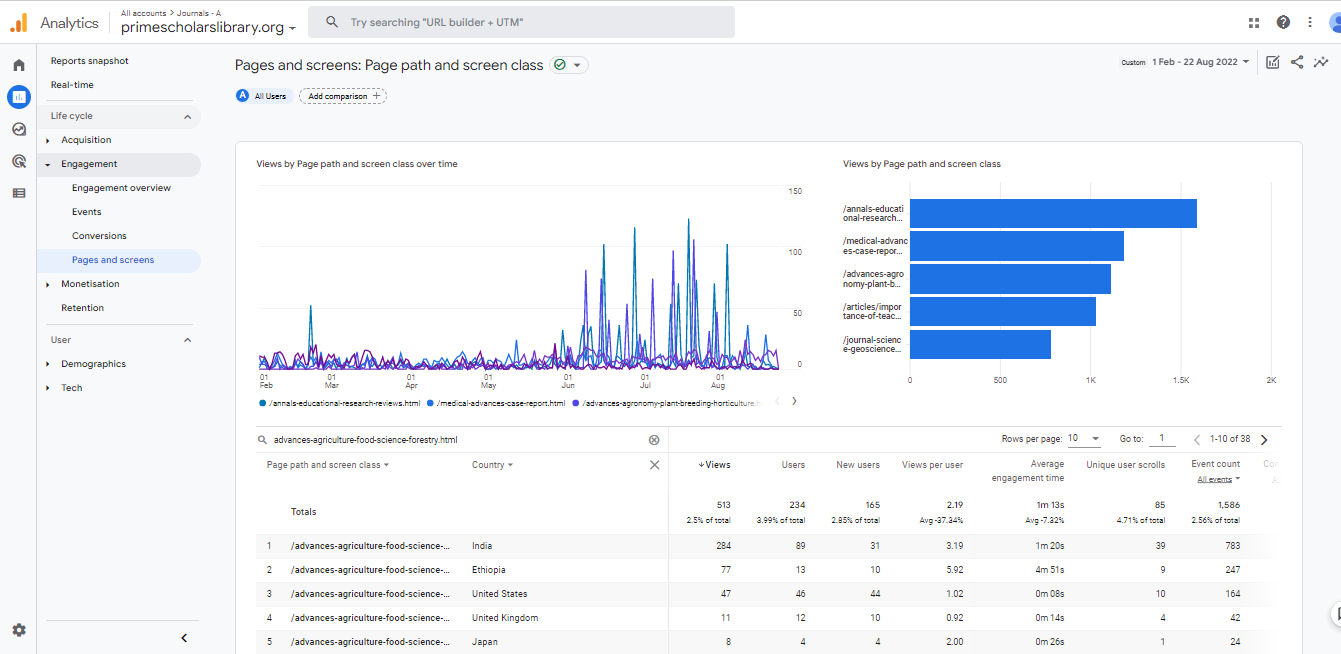 Visitor Analysis Report