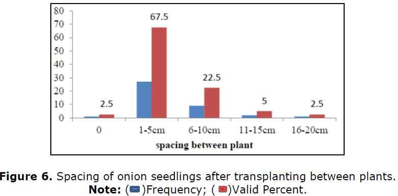 agronomy-plant-seedlings
