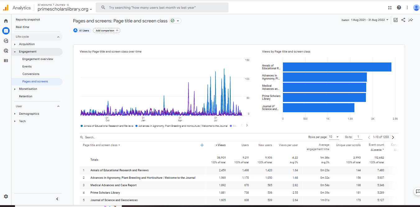 Visitor Analysis Report